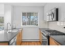 218-510 Edmonton Trail Ne, Calgary, AB  - Indoor Photo Showing Kitchen With Stainless Steel Kitchen With Upgraded Kitchen 