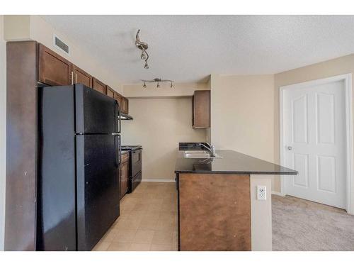 305-7180 80 Avenue Ne, Calgary, AB - Indoor Photo Showing Kitchen With Double Sink