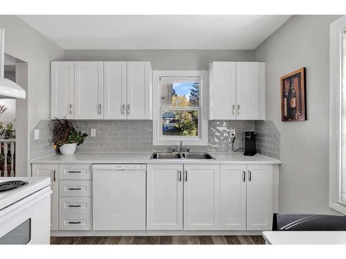 669 Northmount Drive Nw, Calgary, AB - Indoor Photo Showing Kitchen With Double Sink