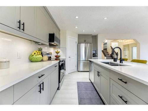 124 Chaparral Crescent Se, Calgary, AB - Indoor Photo Showing Kitchen With Double Sink With Upgraded Kitchen