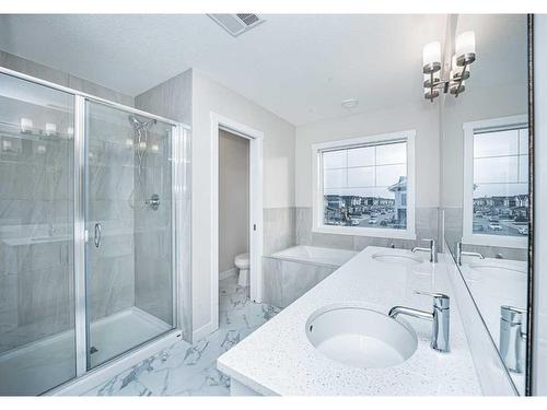 7 Homestead Passage, Calgary, AB - Indoor Photo Showing Bathroom