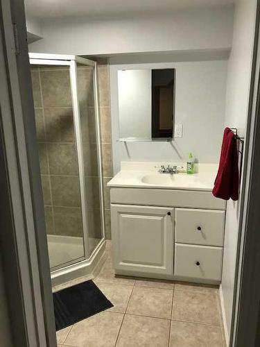 4807 30 Avenue Sw, Calgary, AB - Indoor Photo Showing Bathroom