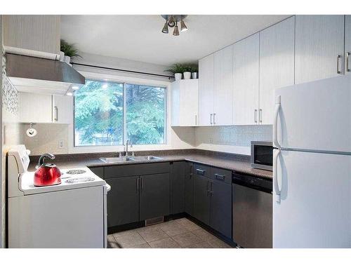 4807 30 Avenue Sw, Calgary, AB - Indoor Photo Showing Kitchen With Double Sink