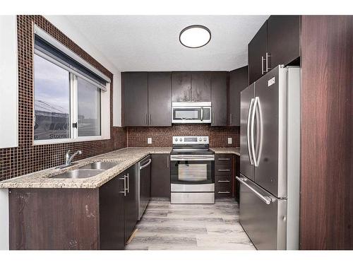 339 Martinbrook Place Ne, Calgary, AB - Indoor Photo Showing Kitchen With Double Sink With Upgraded Kitchen