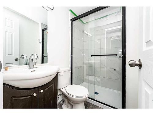 339 Martinbrook Place Ne, Calgary, AB - Indoor Photo Showing Bathroom