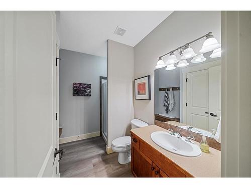 15 Sterling Springs Crescent, Rural Rocky View County, AB - Indoor Photo Showing Bathroom