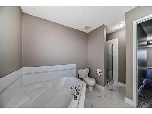 27 Canoe Circle Sw, Airdrie, AB - Indoor Photo Showing Bathroom