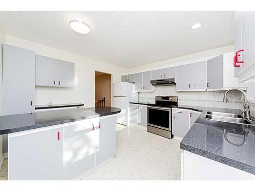 4627 Whitehorn Drive, Calgary, AB - Indoor Photo Showing Kitchen With Double Sink