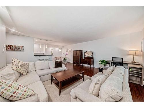 4B-133 25 Avenue Sw, Calgary, AB - Indoor Photo Showing Living Room