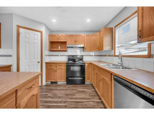 104 Taracove Crescent Ne, Calgary, AB - Indoor Photo Showing Kitchen With Double Sink