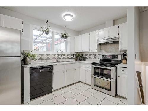 928 Pinecliff Drive Ne, Calgary, AB - Indoor Photo Showing Kitchen With Double Sink