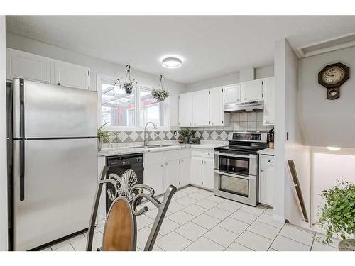 928 Pinecliff Drive Ne, Calgary, AB - Indoor Photo Showing Kitchen With Double Sink