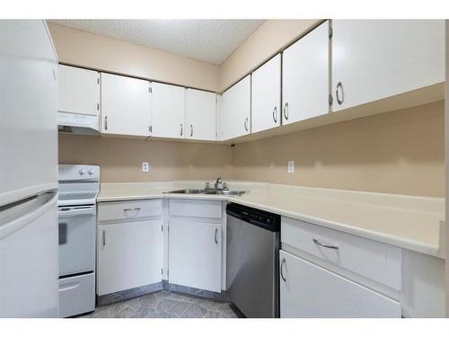 205-8403 Fairmount Drive Se, Calgary, AB - Indoor Photo Showing Kitchen With Double Sink