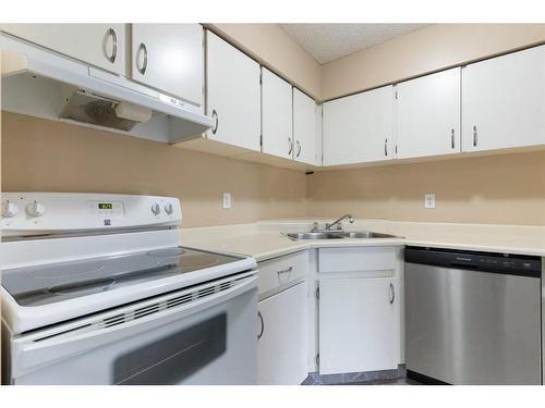 205-8403 Fairmount Drive Se, Calgary, AB - Indoor Photo Showing Kitchen With Double Sink