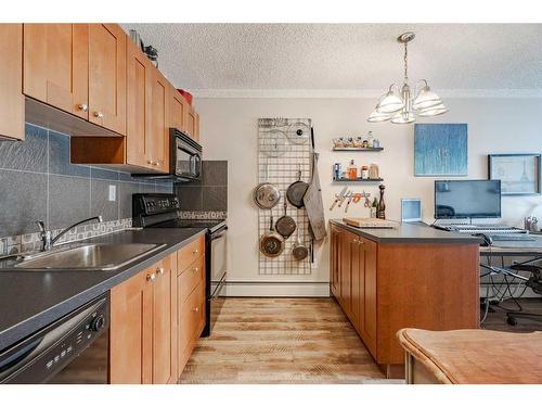 201-2010 11 Avenue Sw, Calgary, AB - Indoor Photo Showing Kitchen