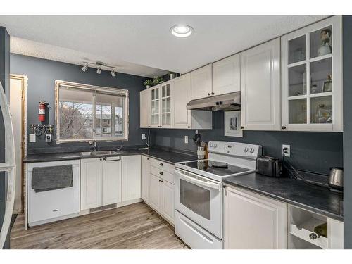 66 Everglade Drive Se, Airdrie, AB - Indoor Photo Showing Kitchen With Double Sink