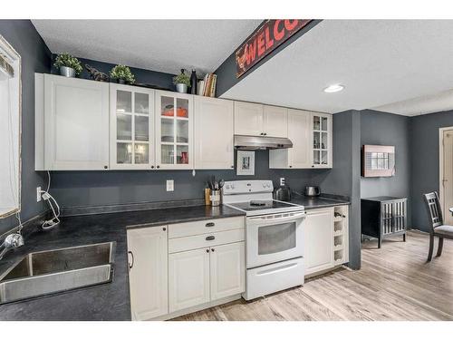 66 Everglade Drive Se, Airdrie, AB - Indoor Photo Showing Kitchen With Double Sink