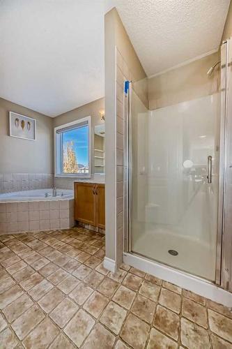 257 Bridlemeadows Common Sw, Calgary, AB - Indoor Photo Showing Bathroom