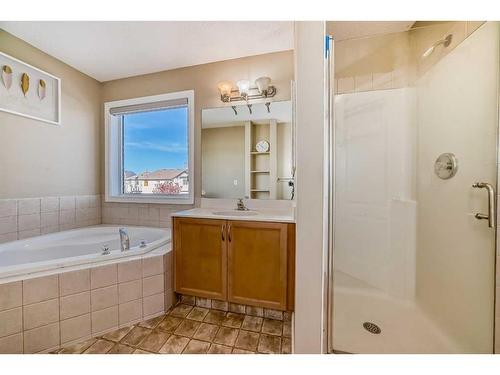 257 Bridlemeadows Common Sw, Calgary, AB - Indoor Photo Showing Bathroom