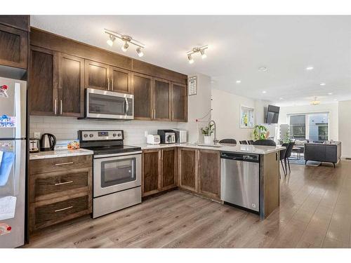 222 Red Embers Way Ne, Calgary, AB - Indoor Photo Showing Kitchen With Stainless Steel Kitchen With Upgraded Kitchen