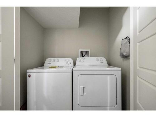 222 Red Embers Way Ne, Calgary, AB - Indoor Photo Showing Laundry Room