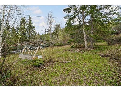 204 Grizzly Street, Banff, AB - Outdoor