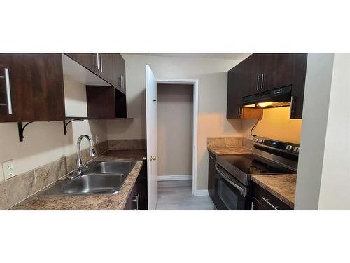 302-1524 15 Avenue Sw, Calgary, AB - Indoor Photo Showing Kitchen With Double Sink