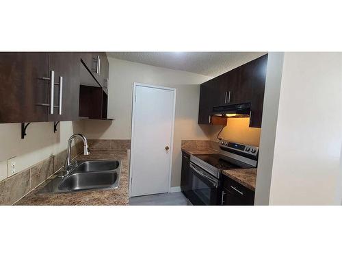 302-1524 15 Avenue Sw, Calgary, AB - Indoor Photo Showing Kitchen With Double Sink