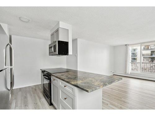 505-1312 13 Avenue Sw, Calgary, AB - Indoor Photo Showing Kitchen With Upgraded Kitchen