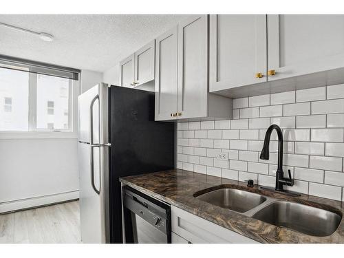 505-1312 13 Avenue Sw, Calgary, AB - Indoor Photo Showing Kitchen With Double Sink