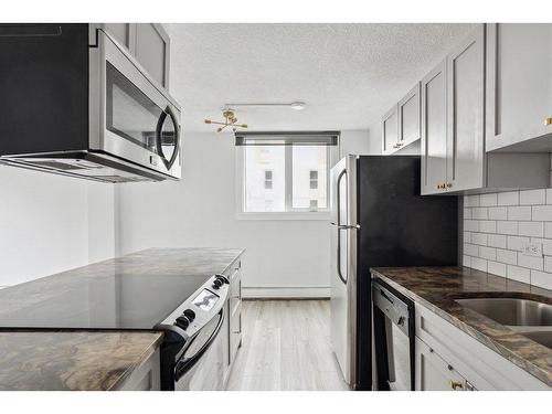 505-1312 13 Avenue Sw, Calgary, AB - Indoor Photo Showing Kitchen