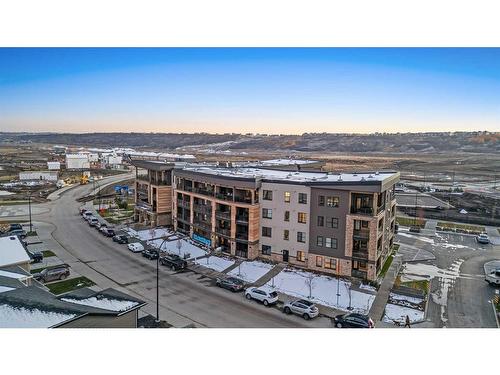 317-125 Wolf Hollow Crescent Se, Calgary, AB - Outdoor With View