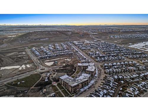 317-125 Wolf Hollow Crescent Se, Calgary, AB - Outdoor With View