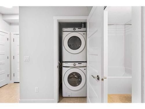 317-125 Wolf Hollow Crescent Se, Calgary, AB - Indoor Photo Showing Laundry Room