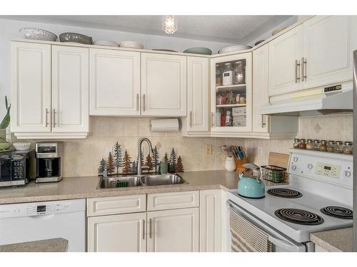 1102-1514 11 Street Sw, Calgary, AB - Indoor Photo Showing Kitchen With Double Sink