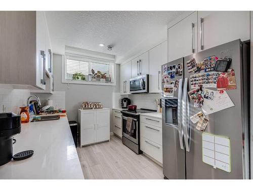 133 Red Embers Place Ne, Calgary, AB - Indoor Photo Showing Kitchen With Stainless Steel Kitchen With Upgraded Kitchen