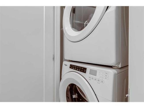 133 Red Embers Place Ne, Calgary, AB - Indoor Photo Showing Laundry Room