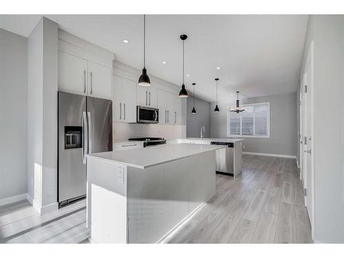 133 Red Embers Place Ne, Calgary, AB - Indoor Photo Showing Kitchen With Stainless Steel Kitchen With Upgraded Kitchen