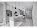 133 Red Embers Place Ne, Calgary, AB  - Indoor Photo Showing Kitchen With Stainless Steel Kitchen With Upgraded Kitchen 