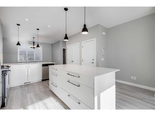 133 Red Embers Place Ne, Calgary, AB - Indoor Photo Showing Kitchen With Upgraded Kitchen