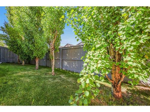 56 Covepark Mews Ne, Calgary, AB - Outdoor