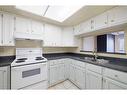 403-3747 42 Street Nw, Calgary, AB  - Indoor Photo Showing Kitchen With Double Sink 