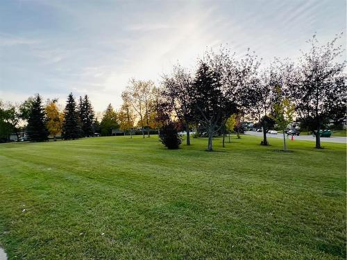 11015 5 Street Sw, Calgary, AB - Outdoor With View