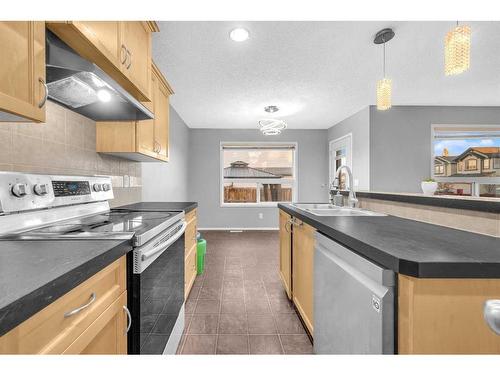 165 Brightondale Parade Se, Calgary, AB - Indoor Photo Showing Kitchen With Double Sink