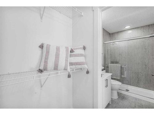 39-29 Cornerstone Row Ne, Calgary, AB - Indoor Photo Showing Bathroom