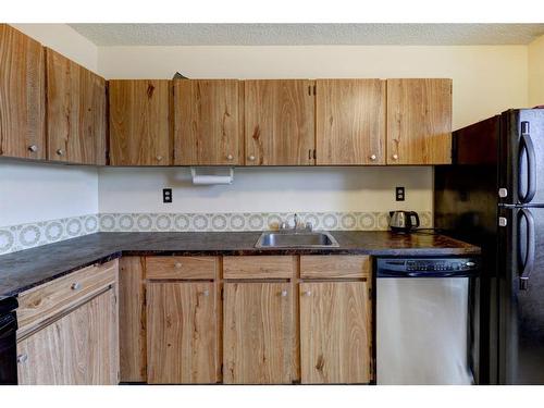 301-1335 12 Avenue Sw, Calgary, AB - Indoor Photo Showing Kitchen With Double Sink