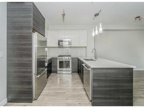 3109-95 Burma Star Road Sw, Calgary, AB - Indoor Photo Showing Kitchen With Stainless Steel Kitchen With Double Sink With Upgraded Kitchen