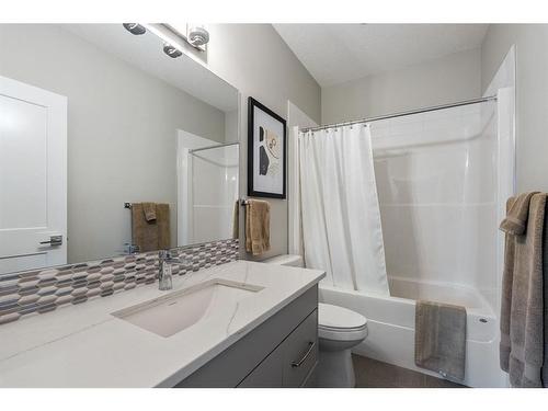 354015 Meridian Street, Rural Foothills County, AB - Indoor Photo Showing Bathroom