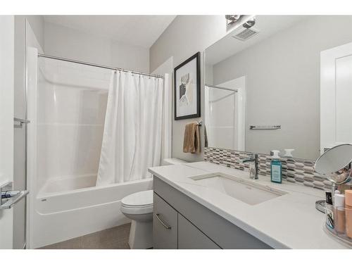 354015 Meridian Street, Rural Foothills County, AB - Indoor Photo Showing Bathroom