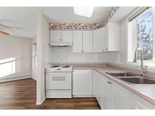 3128-3000 Millrise Point Sw, Calgary, AB - Indoor Photo Showing Kitchen With Double Sink